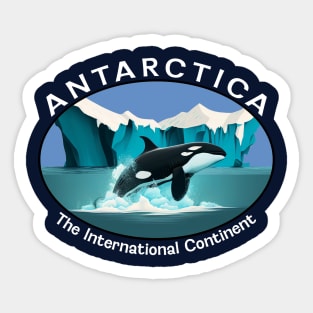 Antarctica The International Continent Orca Whale Sticker